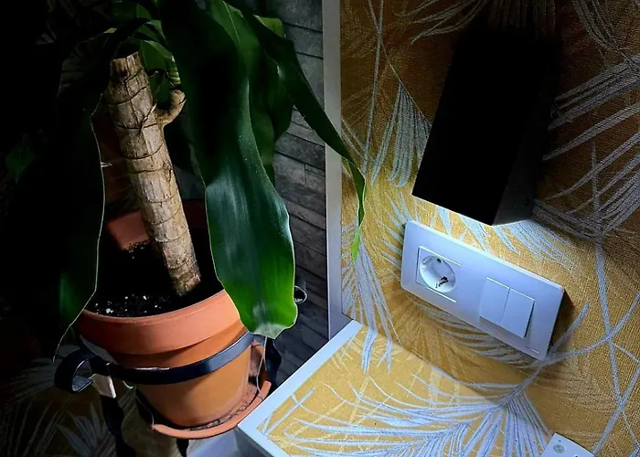 Casa Mia Luxury Style House Keeper Pool Breakfast Free Parking Bed & Breakfast Torrevieja