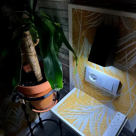 Casa Mia Luxury Style House Keeper Pool Breakfast Free Parking Bed & Breakfast Torrevieja